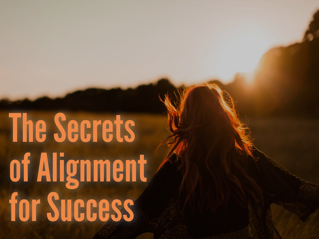 *COMING SOON* Alignment Training