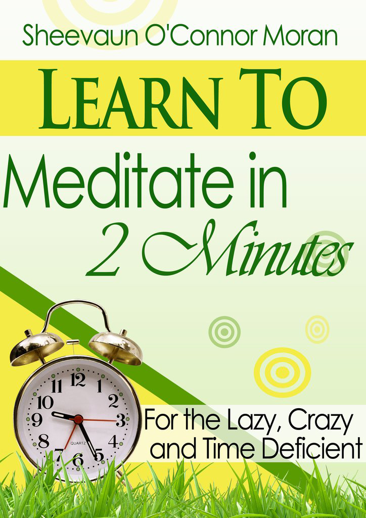 Learn to Meditate in 2 Minutes - for the Lazy, Crazy and Time Deficient! BOOK