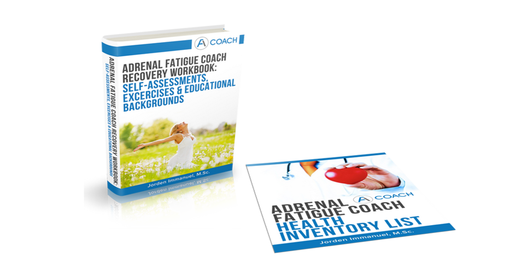 Adrenal Fatigue Basic Package - Energetic Solutions, Inc Sheevaun Moran
