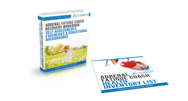 Adrenal Fatigue Basic Package - Energetic Solutions, Inc Sheevaun Moran