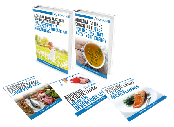 Adrenal Fatigue Recovery Package - Energetic Solutions, Inc Sheevaun Moran