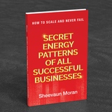 Secret Energy Patterns of All Successful Businesses: How to Scale and Never Fail - Energetic Solutions, Inc Sheevaun Moran