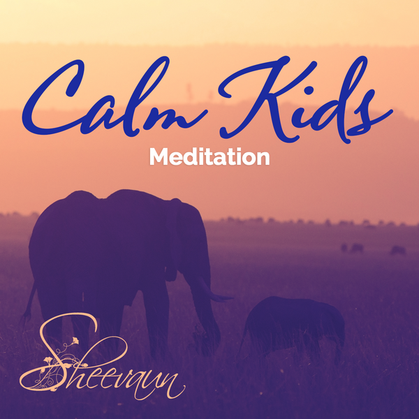 guided calm kids meditation cover Calm Kids - Meditation - Energetic Alignment Sheevaun Moran