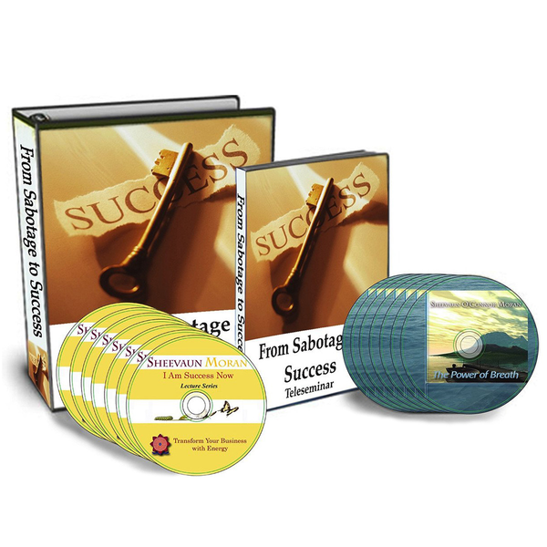 Emerge Your Business Package - Energetic Solutions, Inc Sheevaun Moran