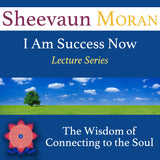 The Wisdom of Connecting To Your Soul - Energetic Solutions, Inc Sheevaun Moran