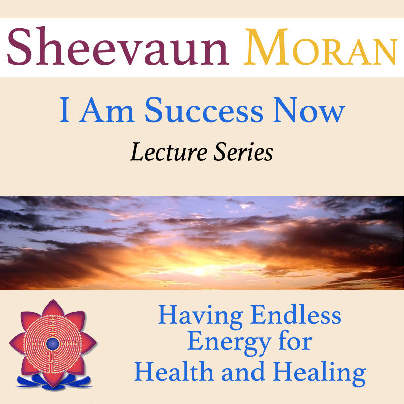 Energize Yourself for Success - Energetic Solutions, Inc Sheevaun Moran