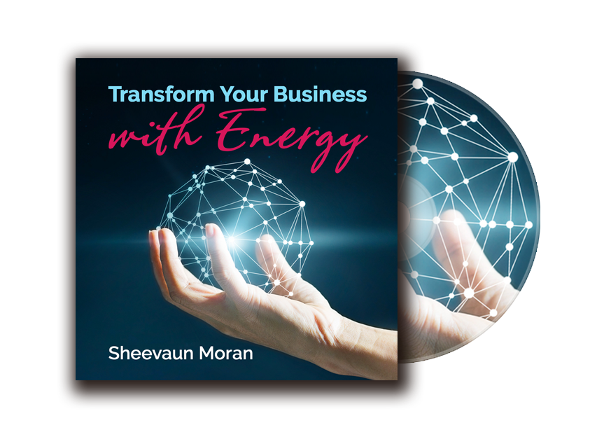 *Transform your Business with Energy - Energetic Solutions, Inc Sheevaun Moran